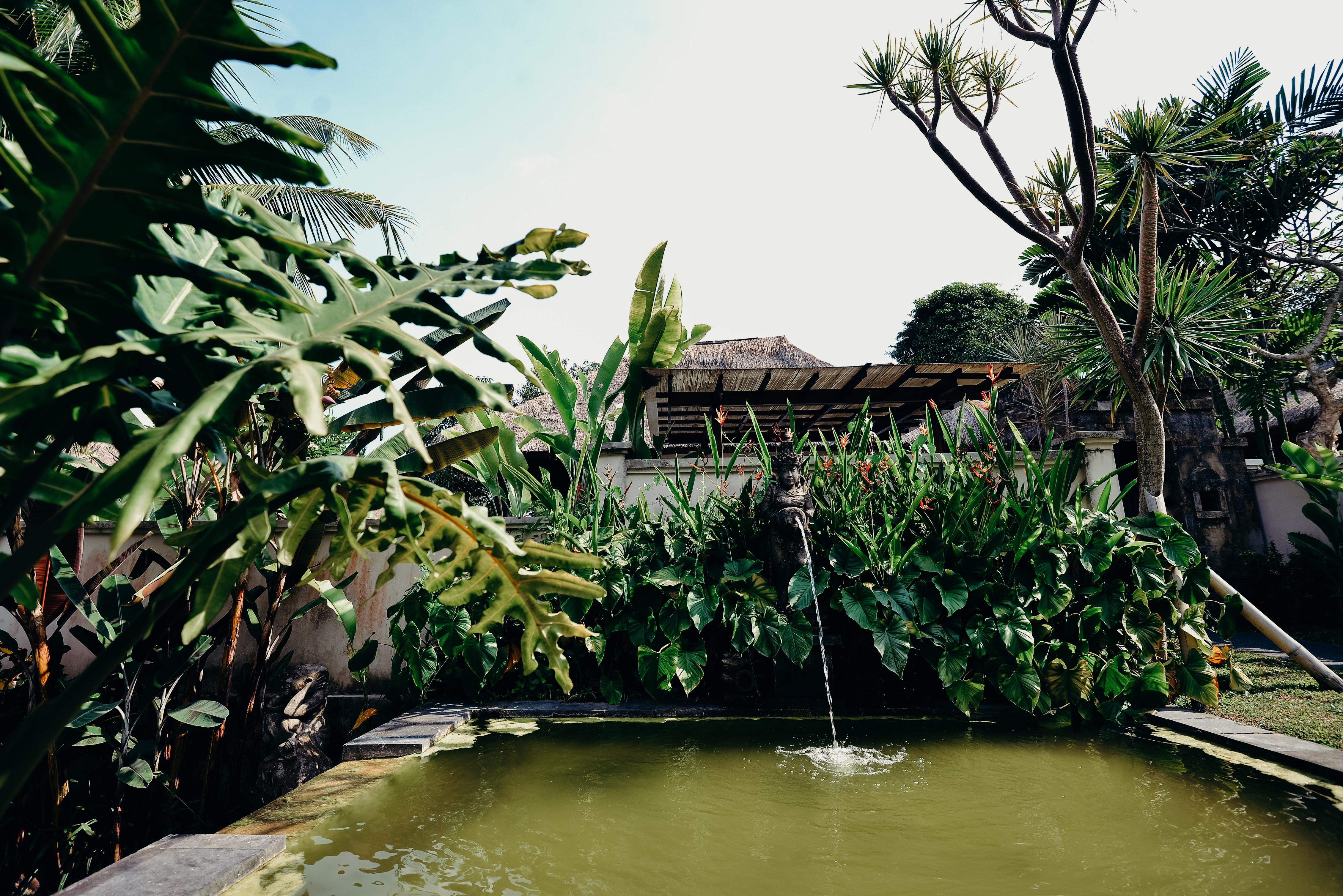 Pertiwi Resort&Spa Ubud Zewnętrze zdjęcie